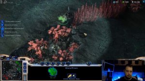 МАКРО Протосс vs Терран . Крутая игра ! TED - Старкрафт 2