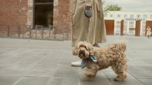 Какая польза ежедневных пеших прогулок?