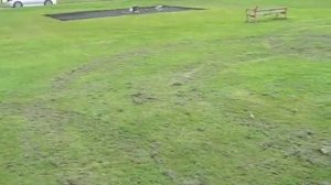 Raptor 50 SE Airborne Camera Video #2