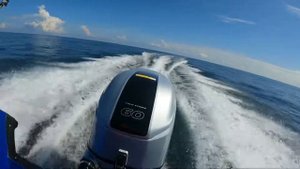 Honda BF60 Quick Video