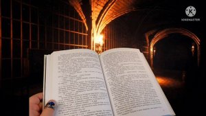 ХОББИТ ИЛИ ТУДА И ОБРАТНО.ГЛАВА 5.ЗАГАДКИ В ТЕМНОТЕ.ЧИТАЕМ ВСЛУХ ХОББИТА