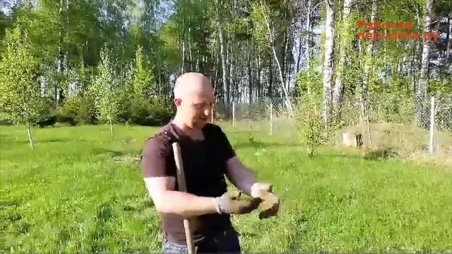 Рабочие перчатки для дачи