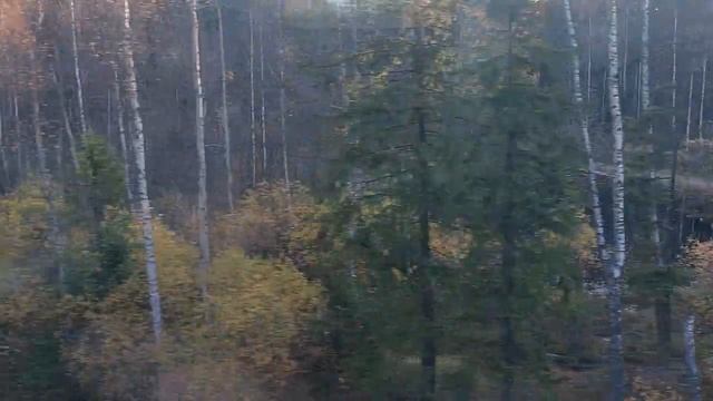 Электричка Санкт-Петербург - Сосново - Приозерск - Кузнечное. Вид справа от Пискаревки до Пл. 54 км