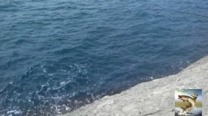 Как ловиться луфарь со скалы.mp4