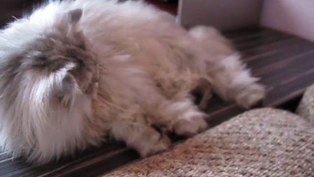 Должок!!!! смотреть онлайн