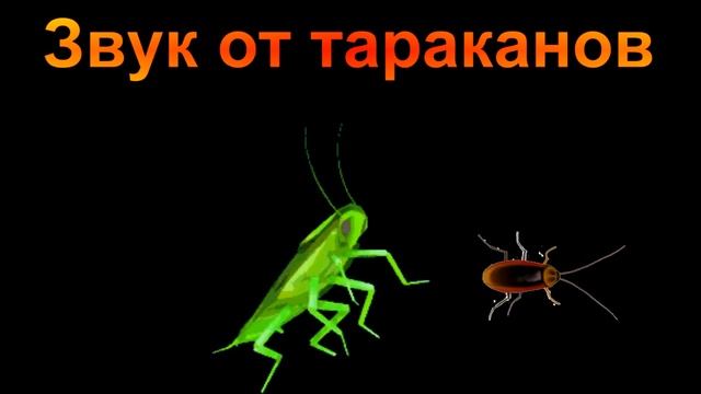 Звук против тараканов/Sound Against Cockroaches