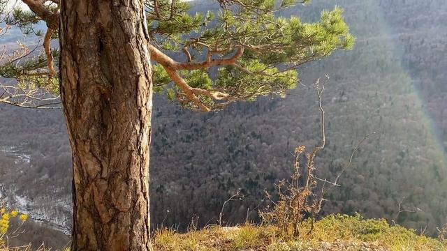 Над орлиной полкой. Пирамида. Круговой маршрут. п. Мезмай. смотреть онлайн