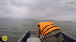 Кубок Ростовской области по ловле спиннингом с лодок Маныч 2020 второй тур. Ловля судака и окуня.