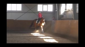 СХЕМА ЕЗДЫ ПРЕДВАРИТЕЛЬНЫЙ ПРИЗ В ДЕТИ