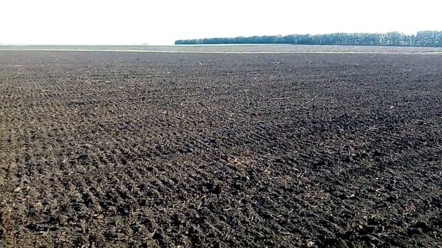 Вторая культивация на ЮМЗ под подсолнух 13.05.20 смотреть онлайн