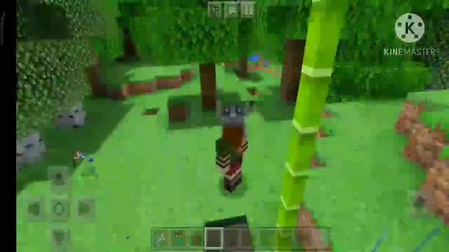 HOW TO DOWNLOAD MORPH MOD IN MINECRAFT PE 2020 UPDATED