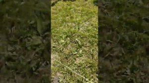 Как сделать подиум для бассейна. Опоры из бруса закапываем в землю.