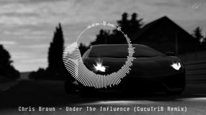 Chris Brown - Under The Influence (CucuTriB Remix)