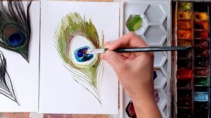 Как нарисовать перо павлина поэтапно - Акварель для начинающих