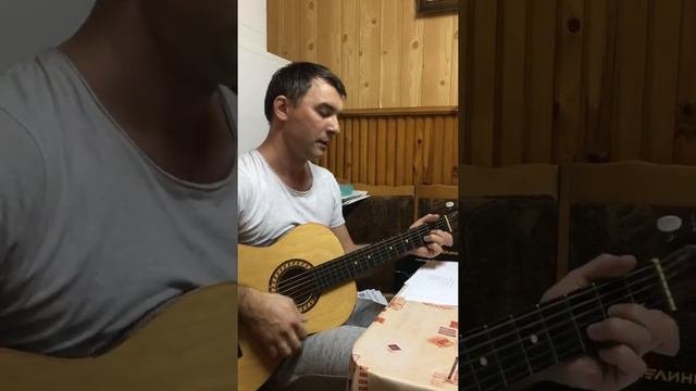 Розенбаум Жеребёнок