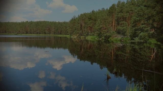 Самые райские места на земле. Озеро Стоячее. Кличевский район. Небольшой видеобзор [4К].