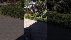 Лазаревское 10.07.2020. Отель Салют.