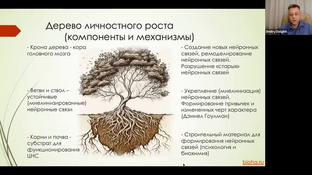 Биохакинг личностного роста. Лекция 1