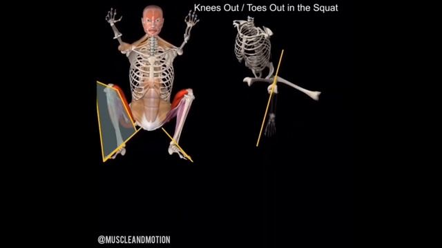 Как убрать клевок таза при приседе смотреть онлайн