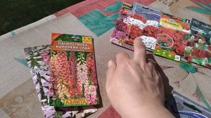 Какие цветы посадить в июне?