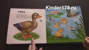 Детская музыкальная книга "Лягушкин пруд" Говорящие плюшевые зверята. Азбукварик. Видео-обзор