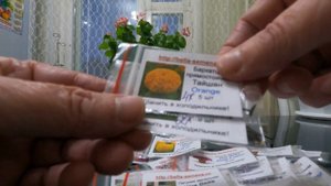 Обзор профсемян из интернет магазин Белла.