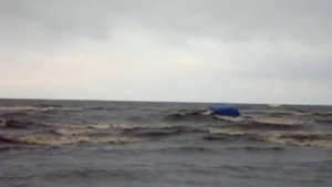 Катер Восток Онега