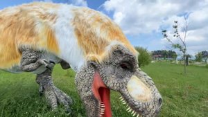 ВЛОГ// МОЙ ВЫПУСКНОЙ// ДИНОПАРК// ЗООПАРК// БАЗА ОТДЫХА// ЛЕТО//