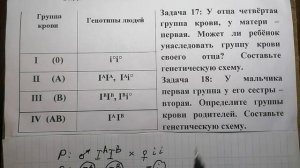 Решение задач по генетике:   множественный аллелизм