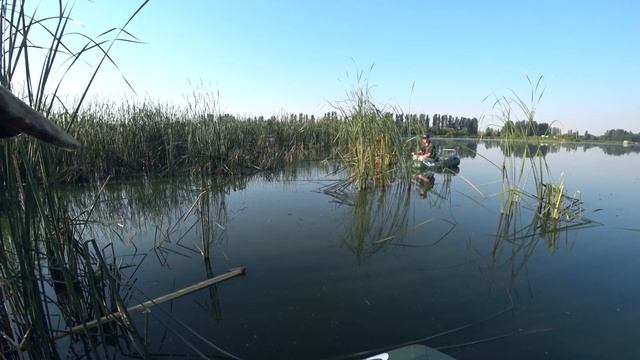 КАРП НА МОРМЫШКУ - ТЕОРИЯ И ПРАКТИКА!!! смотреть онлайн