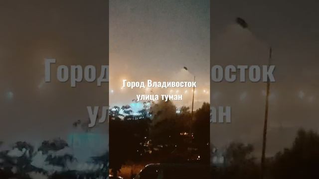 Город Владивосток улица туман