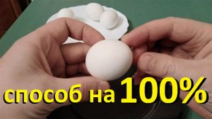 КАК ЛЕГКО ПОЧИСТИТЬ ЯЙЦА