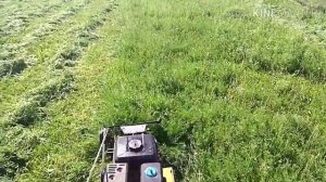 Сенокос мотоблоком.