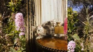 Это девочка ! Молодая жена Николаева не смогла утаить радостную новость! У них в семье прибавление