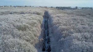 Зимний Ставрополь.