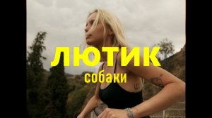 ЛЮТИК - Собаки (OFFICIAL VIDEO)