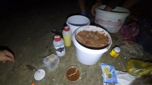 Ловля пеленгаса на Зеленом острове. Пеленгатор активатор