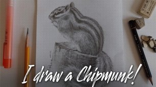 Скетч | Рисую бурундука | Sketch I draw a chipmunk