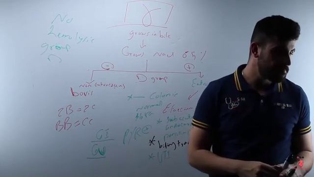 44 Streptococcus Gamma Group D Enterococcus Faecalis смотреть онлайн