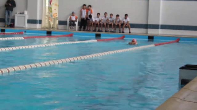 Веселый Дельфин. 17.11.2017. Комплекс 200 м. Девочки. 2007 г.р. смотреть онлайн