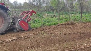Мульчирования веток трактором Беларус 2022В.3