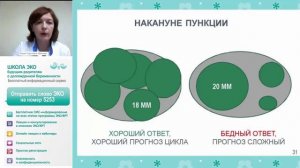 С чего начать ЭКО: этапы программы