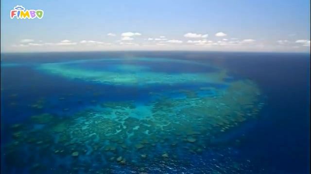 Фимбо Океан | Красивая мелодия из водных глубин планеты Земля смотреть онлайн