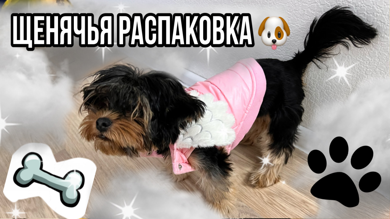 ЩЕНЯЧЬЯ РАСПАКОВКА ??