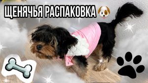 ЩЕНЯЧЬЯ РАСПАКОВКА ??