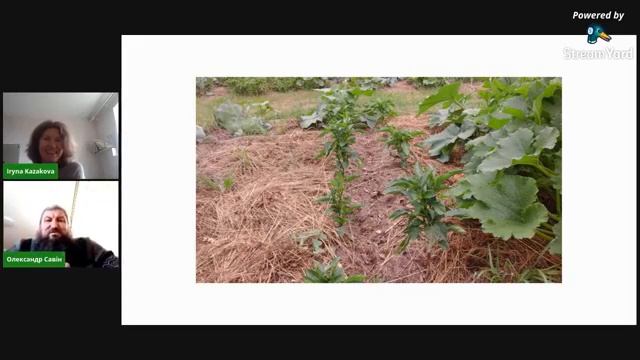 Блочно-модульний город Олександра Савіна смотреть онлайн