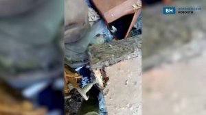 Воронежские волонтеры достали из мусорки саквояж прошедшего ВОВ подполковника