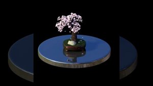 HoloOne: Бесплатные 3D видео для голографических вентиляторов - Голограмма Сакура