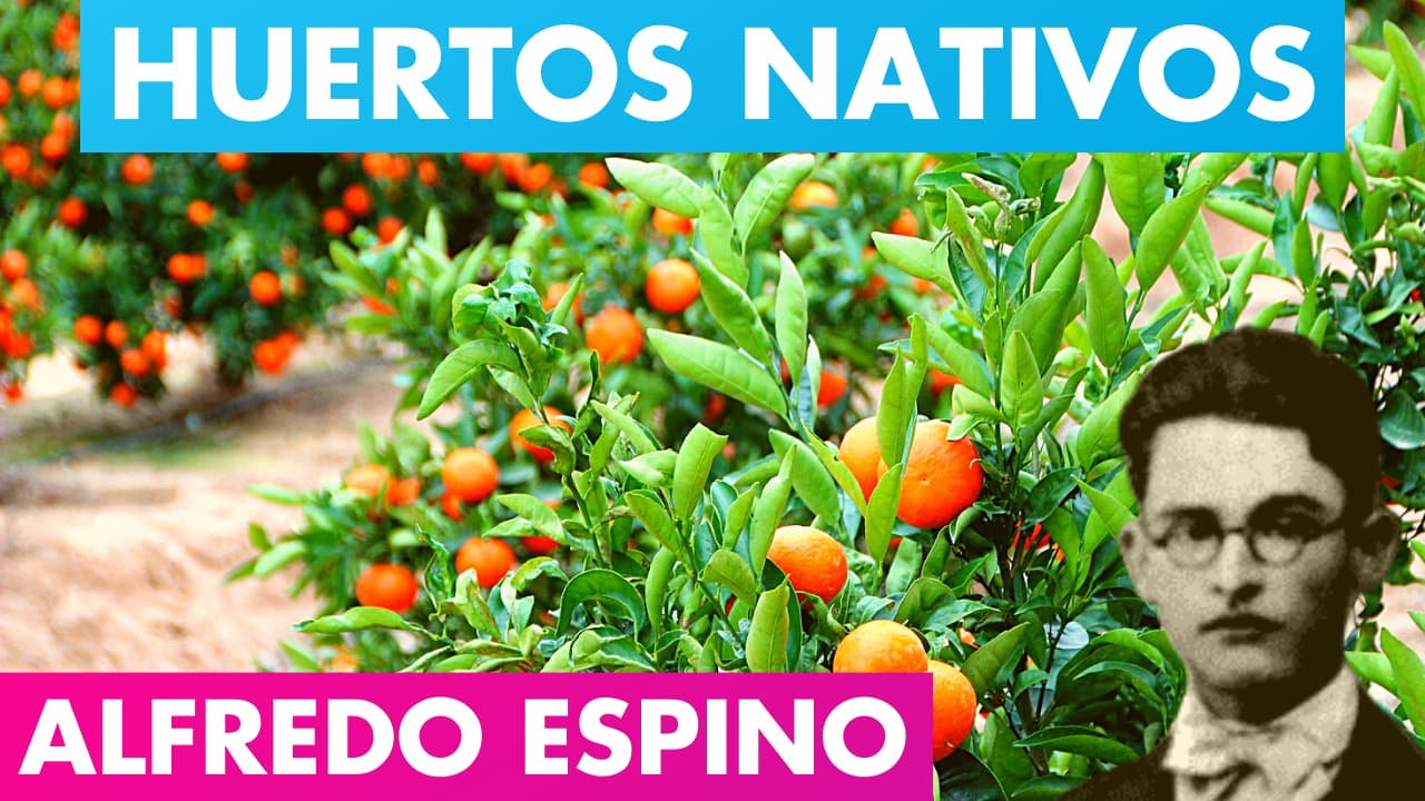 HUERTOS NATIVOS ALFREDO ESPINO ?? | Poema Huertos Nativos de Alfredo Espino?? | Valentina Zoe