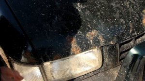 Обзор Honda Passport - Японский Opel Frontera